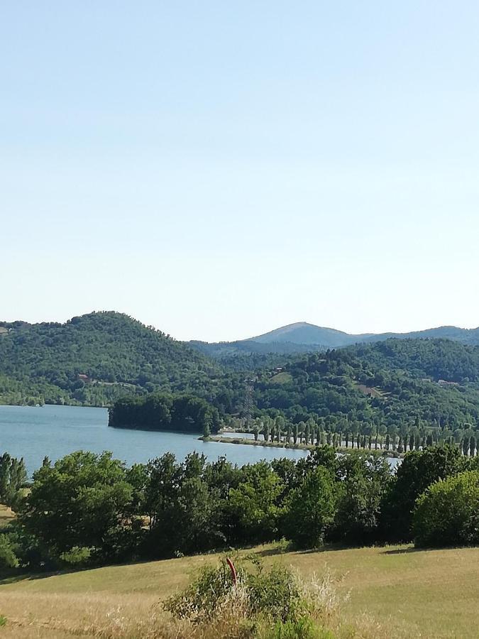 Il Lago Del Mugello B&B Барберино-ди- Муджелло Экстерьер фото